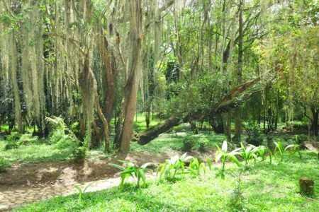 santander-parquegallineral2-orchidtravel